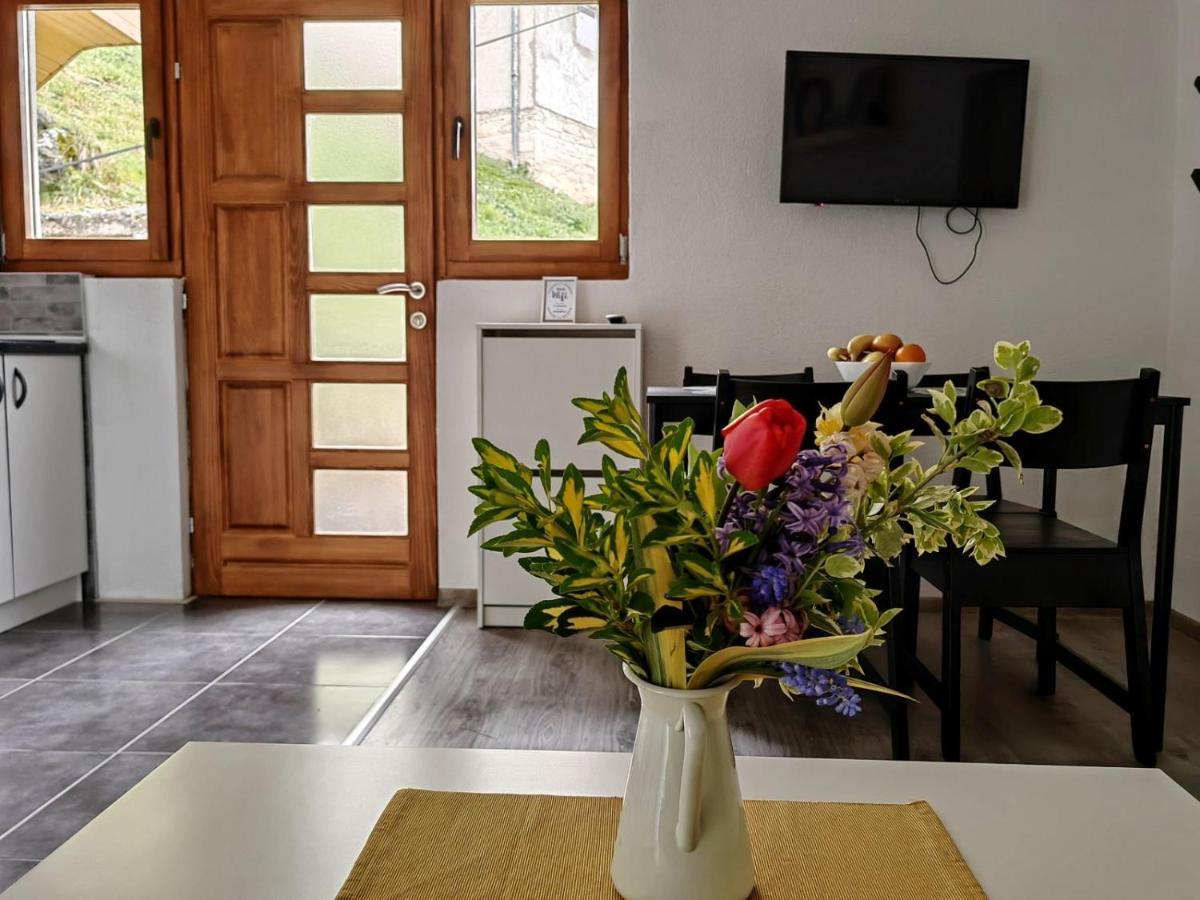 Ive Andrica 3 Apartment Visegrad Bagian luar foto
